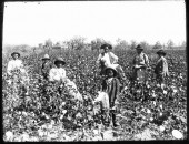 Black_cotton_farming_family
